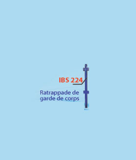 Rattrapage de garde de corps: IBS 224